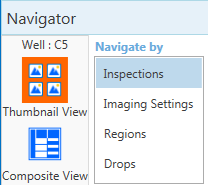 Select "Inspections" from the "Navigate by"